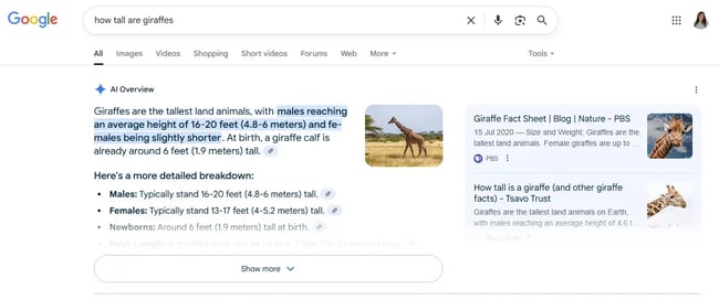 screenshot from the top search engine, google, shows how the ai overviews work on the search results pages.